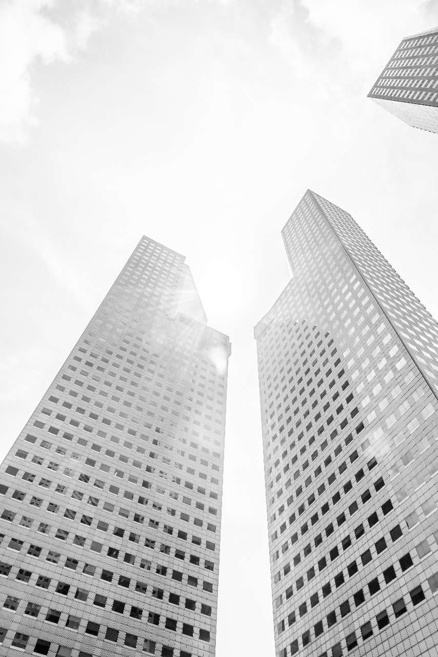 Elegantly designed modern interior